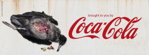 coca_cola_bird