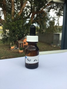 IMG_2835